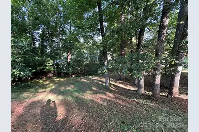 1034 Sardis Cove Drive, Charlotte, NC 28270 - Photo 5