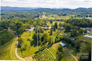 116 Dix Creek Chapel Rd, Asheville, NC 28806 - Photo 7