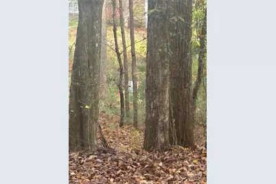 Bl-A Club House Court #BL-A, Brevard, NC 28712 - Photo 7