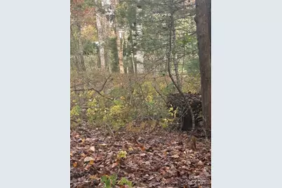 Bl-A Club House Court #BL-A, Brevard, NC 28712 - Photo 9