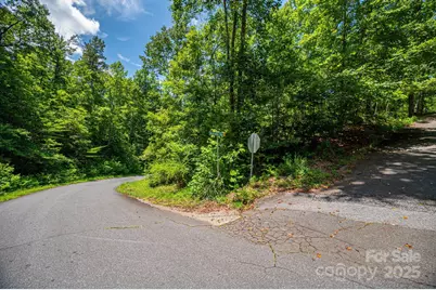 Lot 177 Plantation Drive, Rutherfordton, NC 28139 - Photo 5