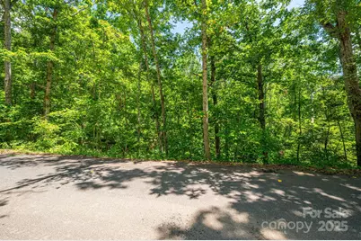 Lot 131 Plantation Drive, Rutherfordton, NC 28139 - Photo 13
