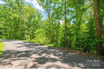 Lot 132 Plantation Drive, Rutherfordton, NC 28139 - Photo 13