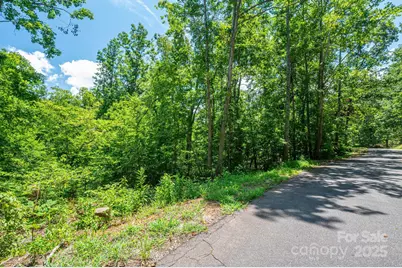 Lot 132 Plantation Drive, Rutherfordton, NC 28139 - Photo 15