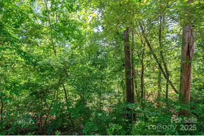 Lot 132 Plantation Drive, Rutherfordton, NC 28139 - Photo 3