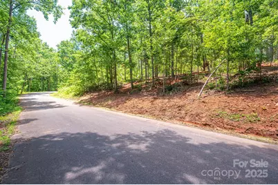 Lot 193 Plantation Drive, Rutherfordton, NC 28139 - Photo 11