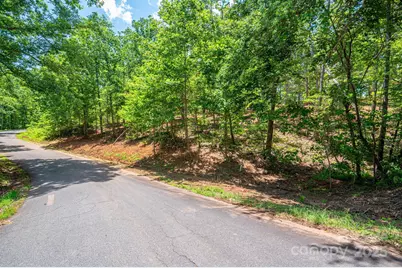 Lot 193 Plantation Drive, Rutherfordton, NC 28139 - Photo 13