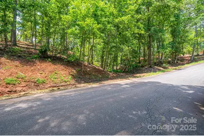 Lot 193 Plantation Drive, Rutherfordton, NC 28139 - Photo 9