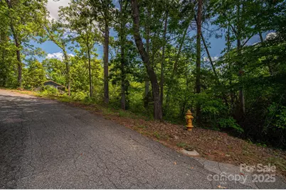 Lot 207 Plantation Drive, Rutherfordton, NC 28139 - Photo 9