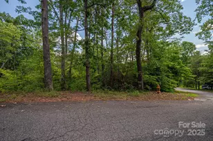 Lot 207 Plantation Dr, Rutherfordton, NC 28139 - Photo 1
