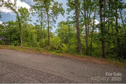 Lot 207 Plantation Drive, Rutherfordton, NC 28139 - Photo 11