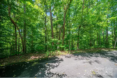 Lot 166 Plantation Drive, Rutherfordton, NC 28139 - Photo 5