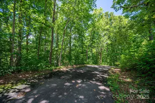 Lot 166 Plantation Dr, Rutherfordton, NC 28139 - Photo 1