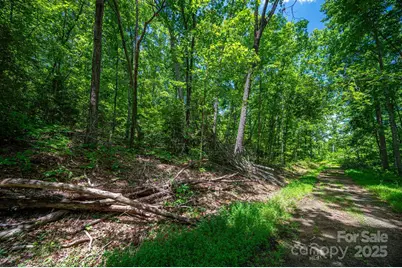 Lot 210 Plantation Drive, Rutherfordton, NC 28139 - Photo 5
