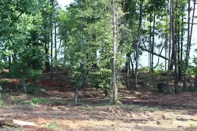 4083 Grays Peak Summit None #169, Connelly Springs, NC 28612 - Photo 13