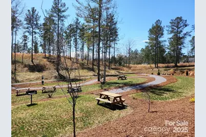 4083 Grays Peak Summit None #169, Connelly Springs, NC 28612 - Photo 37