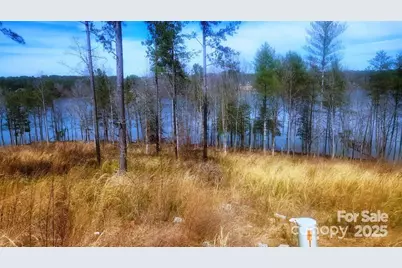 4083 Grays Peak Summit None #169, Connelly Springs, NC 28612 - Photo 29