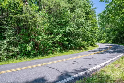 Lot 3 Cleghorn Mill Road, Rutherfordton, NC 28139 - Photo 1