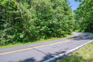 Lot 3 Cleghorn Mill Rd, Rutherfordton, NC 28139 - Photo 1