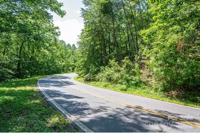 Lot 3 Cleghorn Mill Road, Rutherfordton, NC 28139 - Photo 3