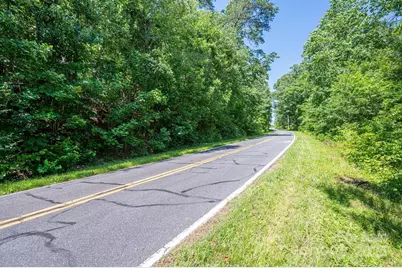 Lot 2 Cleghorn Mill Road, Rutherfordton, NC 28139 - Photo 11