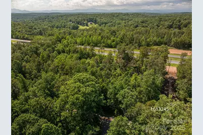 Lot 1 Cleghorn Mill Road, Rutherfordton, NC 28139 - Photo 3