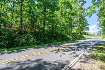 Lot 1 Cleghorn Mill Road, Rutherfordton, NC 28139 - Photo 9