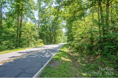 Lot 1 Cleghorn Mill Road, Rutherfordton, NC 28139 - Photo 11