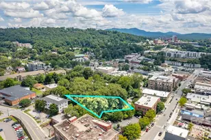 11 Collier Ave, Asheville, NC 28801 - Photo 1