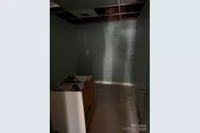 308 Mulberry Street SW, Lenoir, NC 28645 - Photo 19