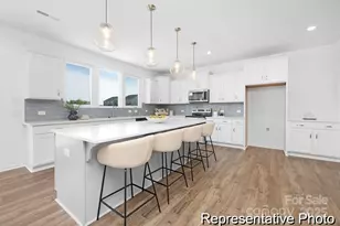 1111 Deseo Dr, Wingate, NC 28174 - Photo 3