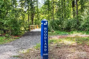 5337 Mint Hbr Wy, Charlotte, NC 28269 - Photo 17