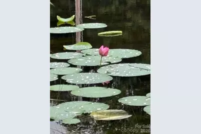 7868/7864 Kinglet Road, Connelly Springs, NC 28612 - Photo 15