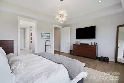 163 Samuel Drive, Mills River, NC 28759 - Photo 23