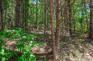 Lot 12 Meadow Crossing Dr, Rutherfordton, NC 28139 - Photo 1