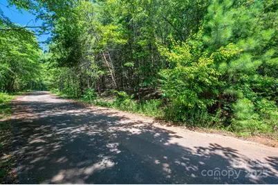 Lot 12 Meadow Crossing Drive, Rutherfordton, NC 28139 - Photo 17