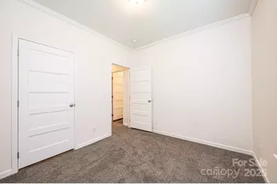 163 Primrose Drive, Stony Point, NC 28678 - Photo 45