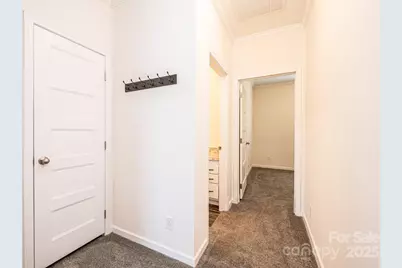 163 Primrose Drive, Stony Point, NC 28678 - Photo 37