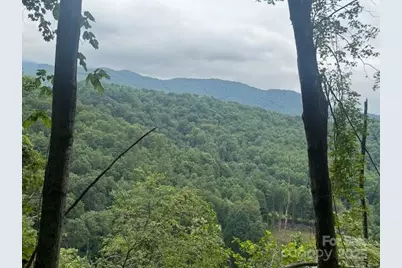 000 N Satellite Mountain Road N, Burnsville, NC 28714 - Photo 3