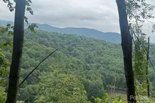 000 N Satellite Mountain Road N, Burnsville, NC 28714 - Photo 3