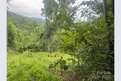 000 N Satellite Mountain Road N, Burnsville, NC 28714 - Photo 5