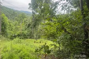 000 N Satellite Mountain Road N, Burnsville, NC 28714 - Photo 5