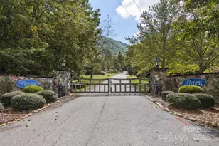 25 View Ridge Pkwy, Leicester, NC 28748 - Photo 41