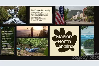 43 Polly Spout Road, Marion, NC 28752 - Photo 27