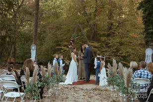 43 Polly Spout Rd, Marion, NC 28752 - Photo 39