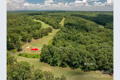 Lot 219 Plantation Drive, Rutherfordton, NC 28139 - Photo 7