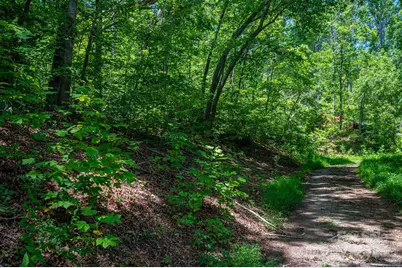 Lot 221 Plantation Drive, Rutherfordton, NC 28139 - Photo 3