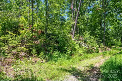 Lot 221 Plantation Drive, Rutherfordton, NC 28139 - Photo 1