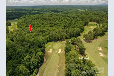 Lot 221 Plantation Drive, Rutherfordton, NC 28139 - Photo 9