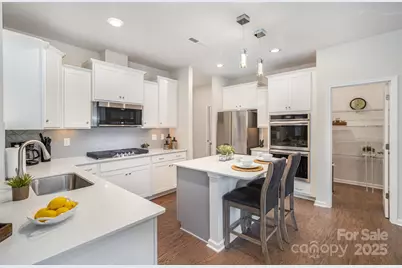 17217 River Race Drive, Huntersville, NC 28078 - Photo 3